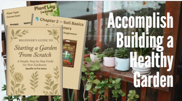Beginner Gardening Guide