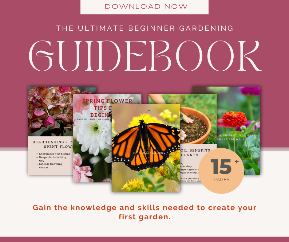 Flower Garden Guide for Beginners